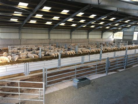 Sheep Sheds Robinsons Agricultural