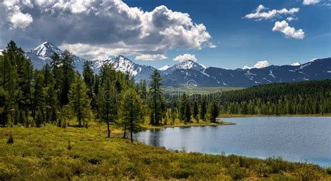 Panorama Einer Sommerlandschaft Auf Dem See Reftinskoye Reservoir