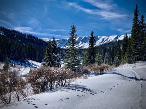 Montezuma, Colorado in Winter Stock Photo - Image of trail, mountains: 165978916