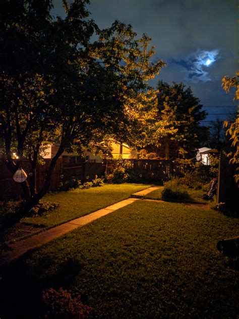 My Backyard At Night Rcozyplaces