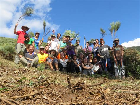 Projecte Boscos De Muntanya Ginestarre 5a Setmana