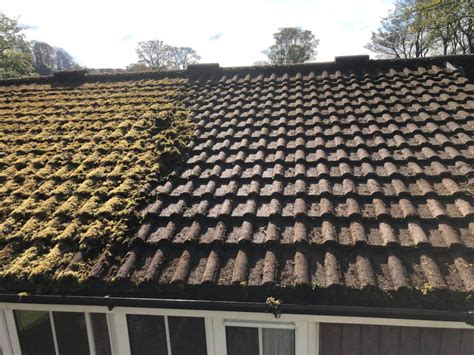 Moss Removal Roof Cleaning Manchester ProClean