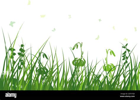 Green Grass Meadow Stock Vector Image And Art Alamy