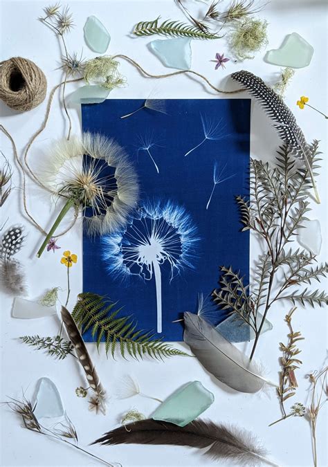 Dandelion Botanical Wall Art Made In The Sun