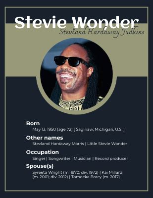 Flipbook Examples Stevie Wonder Biography