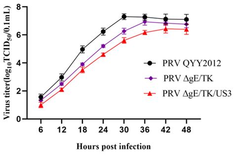 Vaccines Free Full Text The Deletion Of Us3 Gene Of Pseudorabies Virus Prv Δge Tk Strain