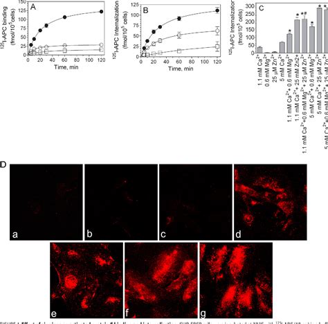 Figure From Zinc Modulates The Interaction Of Protein C And Activated