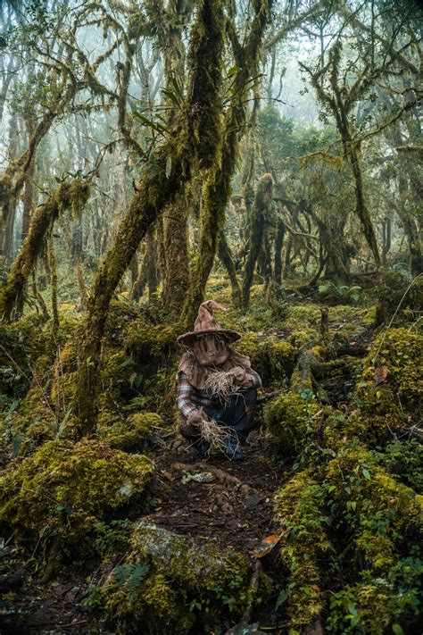 Unveiling the Secret of the Legendary R34 Vault: A Deep Dive into