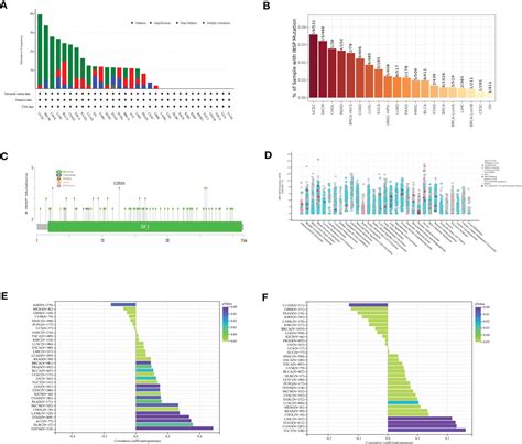 Frontiers Pan Cancer Analysis Shows That Ibsp Is A Potential