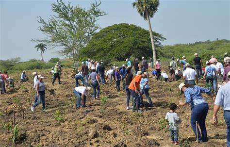 Coraasan dona y siembra más de 4 mil árboles en Jardín Botánico de