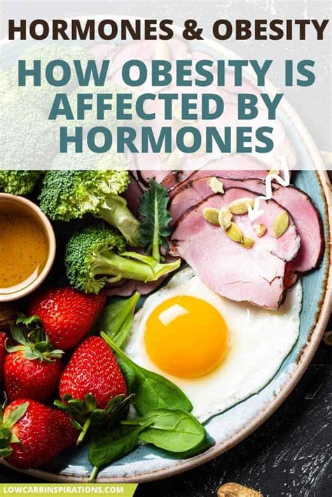 How Obesity Is Affected By Hormones - Low Carb Inspirations