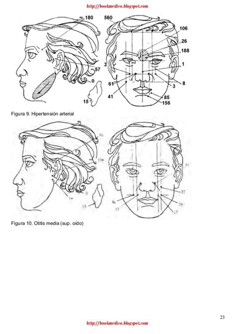 Manual De Acupuntura Digipuntura Acupuncture Acupressure Cham