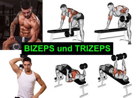 ᐅᐅᐅ 4 Bizeps und Trizeps Übungen mit Kurzhanteln