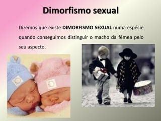 A Espécie Humana Apresenta Dimorfismo Sexual