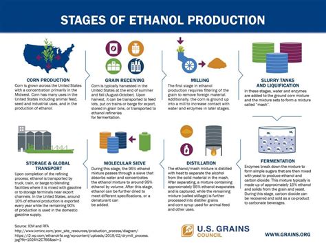 Stages of Ethanol Production - U.S. GRAINS COUNCIL