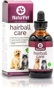 10 Best Cat Hairball Remedy Of 2022 | Dog Product Picker