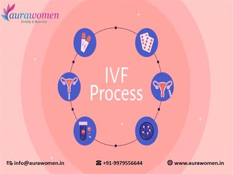 IVF Process Step By Step Guide To IVF Procedure In 2024 Ivf