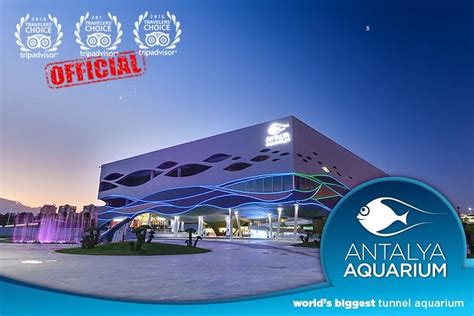 Skip The Line Antalya Aquarium Admission Ticket Turkey