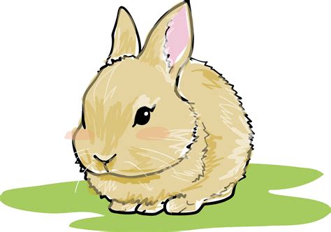 うさぎ 可愛い イラスト 簡単 無料イラスト画像