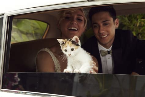 Heres The Cutest Cuddliest Kitty Themed Wedding That Youll Ever