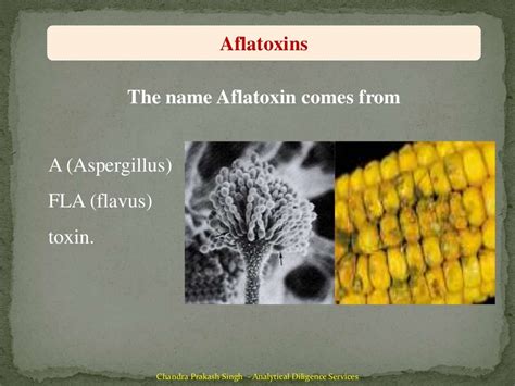 Aflatoxin