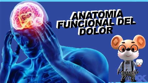 ANATOMIA FUNCIONAL DEL DOLOR Ratoncito Pérez uDocz