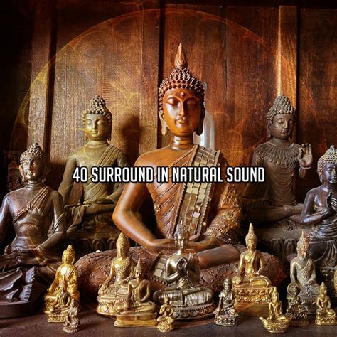 40 Surround In Natural Sound Album By Entspannungsmusik Spotify