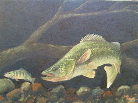 Walleye Sketch at PaintingValley.com | Explore collection of Walleye Sketch