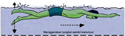 Variasi Latihan Renang Gaya Bebas Disertai Gambar Variasi Gerak