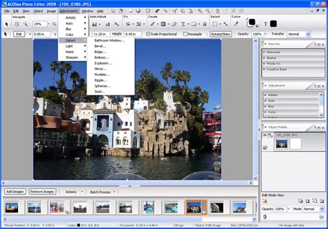 ACDSee Photo Editor Untuk Windows Unduh