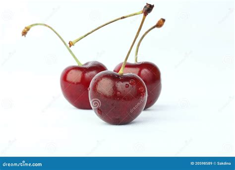 Three Cherry Stock Image Image Of Organic Berry Bright 20598589