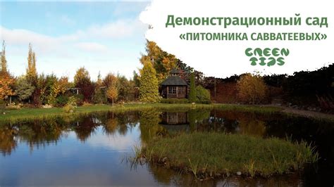 Обзор пейзажного сада. Сад в природном стиле. YouTube - YouTube