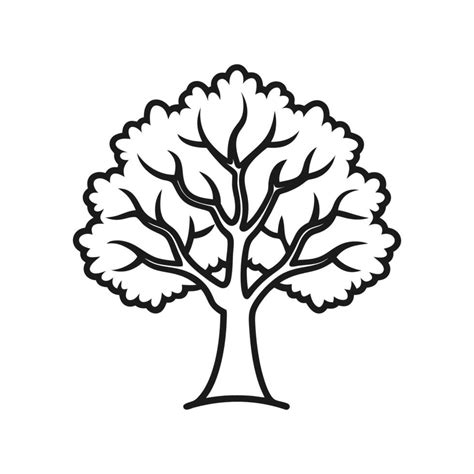 Distinct Florida Maple Tree Outline Art 57695702 Vector Art at Vecteezy