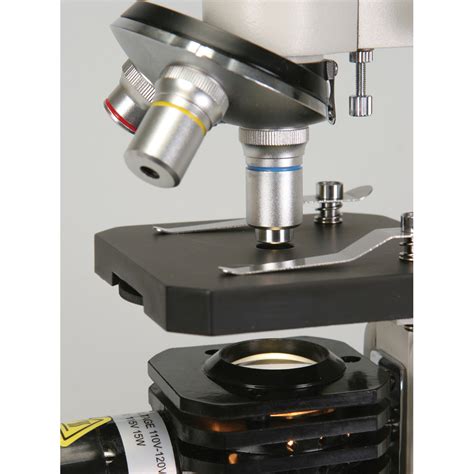 Wolfe® Introductory Student Microscope, 45° Inclined Head | Carolina ...