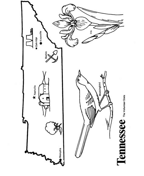 USA-Printables: State outline shape and demographic map - State of ...