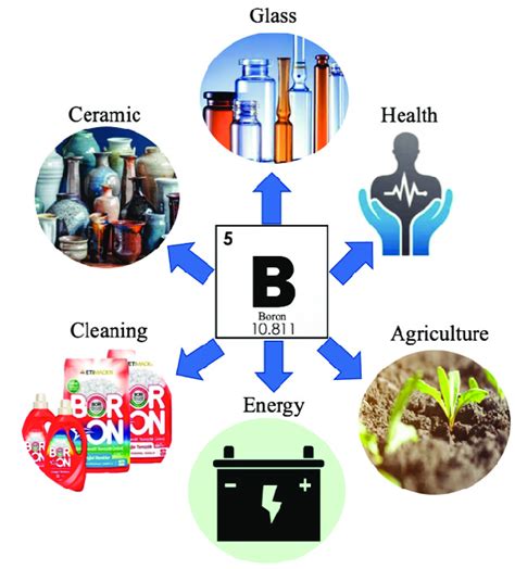 Most Common usage areas of boron Food and drinking water are the main... | Download Scientific ...