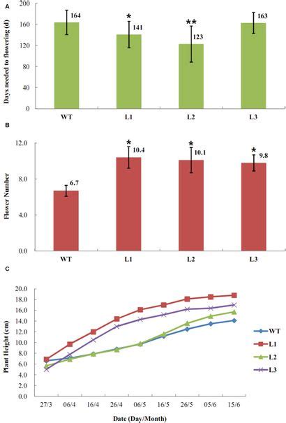 Frontiers Over Expression Of Ejlfy 1 Leads To An Early Flowering Habit In Strawberry Fragaria