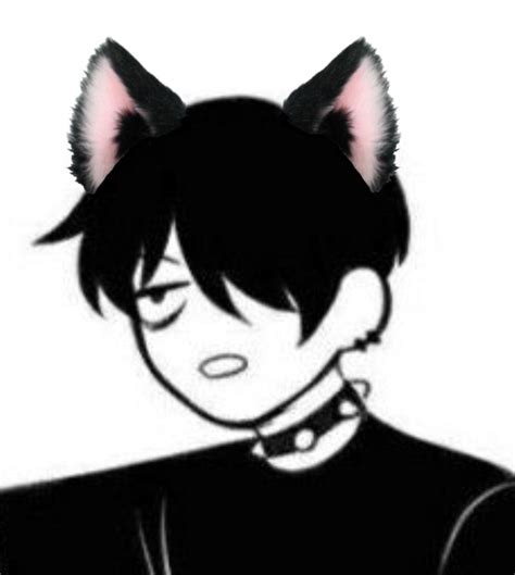 View 11 Emo Catboy Pfp Matching