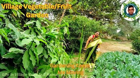 There May Still Be A Vegetable And Fruit Garden In The Village Gaon Ka Shabji Aur Fruit Bagan