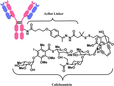 Antibody Drug Conjugate Structure