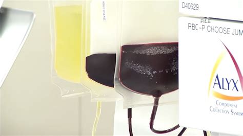 Blood Donations Still Months Away Says Blood Bank Of Delmarva On FDA Reversal Of Gay Donor Ban