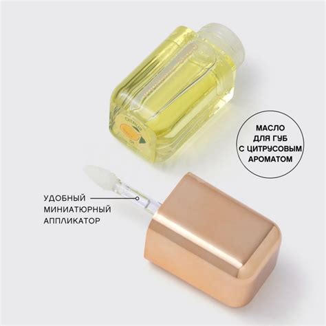 Масло для губ Vivienne Sabo Sirop De Fruits (3,5 г) - 01 цитрус - IRMAG.RU