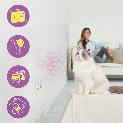 Finde das Richtige für deine Katzen: FELIWAY Optimum, Classic oder Friends?
