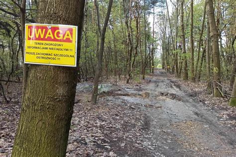 Nowe Zapadlisko W Trzebini Wielki Lej Pojawi Si W Lesie