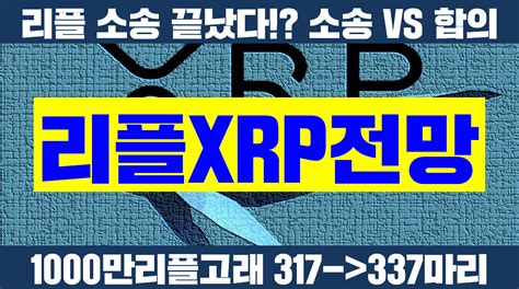 리플 Xrp 리플 고래 폭증중 Sec 소송 결과 알고 있다 리플 Sec 리플 소송 리플 소송결과