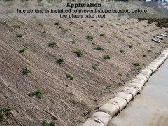 Hillside erosion protection / ground cover