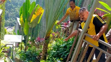 Pemilik Resort Lift Maut Di Ubud Dituntut 14 Bulan Namun Masih Jadi