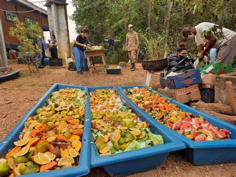 Força tarefa distribui 10 toneladas de alimentos aos animais no