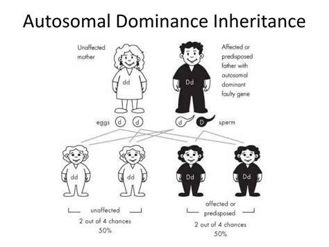 PPT - Autosomal Dominance Inheritance PowerPoint Presentation, free ...