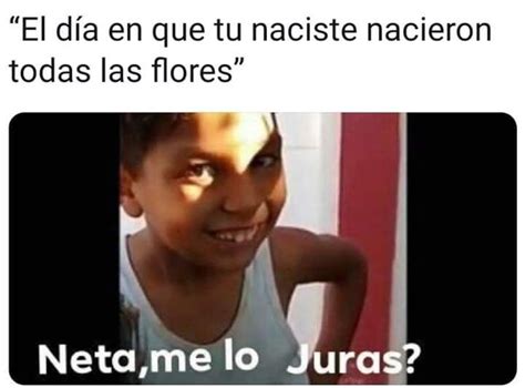 Neta Me Lo Juras 🤨😂😂 Memes Español Graciosos Memes Divertidos